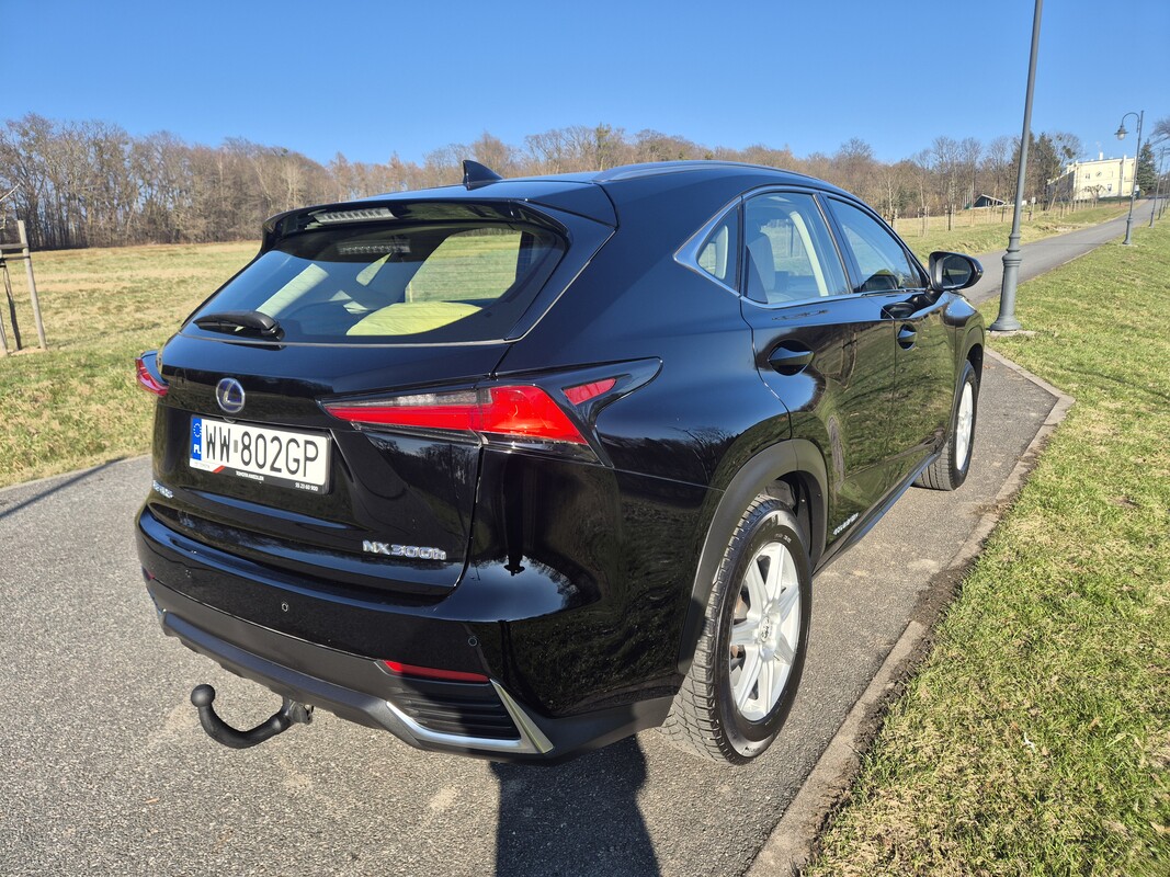 Elbląg Lexus NX300h 2019 | Hybryda Automat | AWD 4x4 |Optimum Elegance | Dwa komplety kół