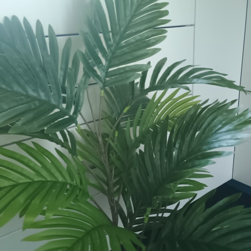 Elbląg Sprzedam piękna sztuczna palma Areka o wysokości 95 cm. Roślina posiada aż 24 duże, realistycznie wykonane