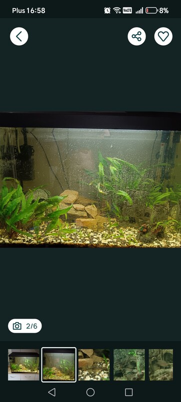 Elbląg Witam. Sprzedam akwarium 80l. Jest na gwarancji jak znajdę dam paragon. Pokrywa z oswietleniem (3 tryby). Z