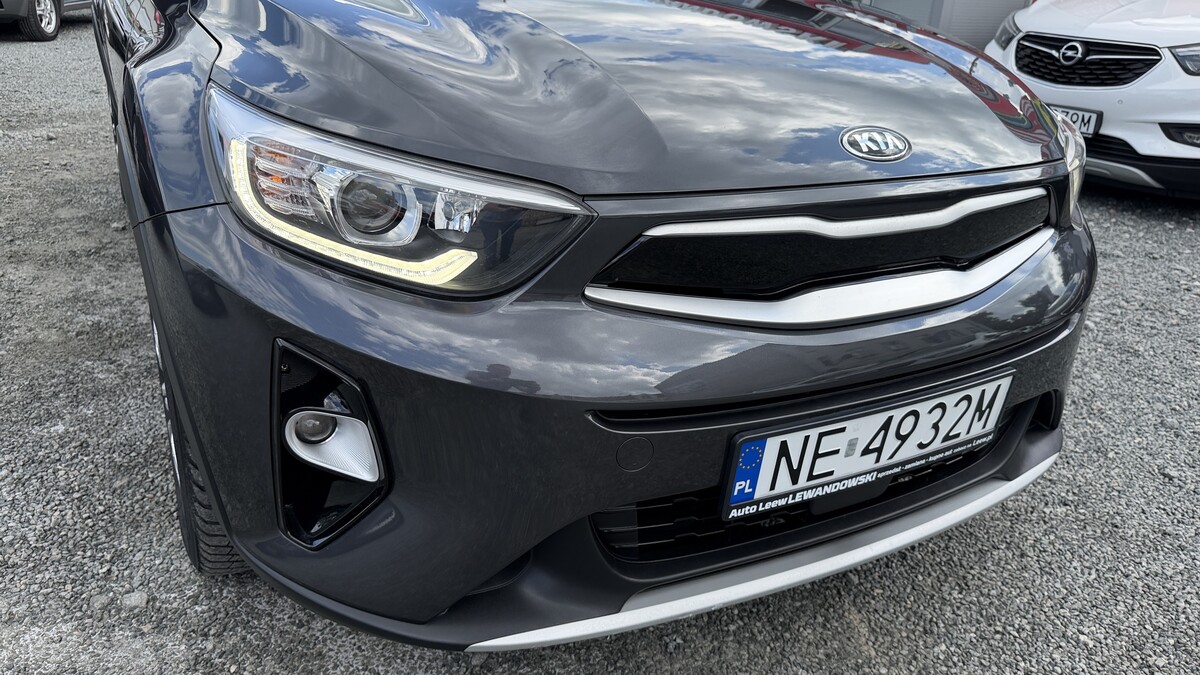 Elbląg Auto Leew LEWANDOWSKI