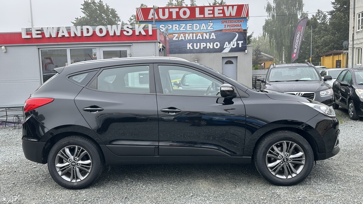 Elbląg Auto Leew LEWANDOWSKI Kupujemy i Sprzedajemy tylko dobre auta Za auta z Polskiego Salonu Płacimy Najwięcej