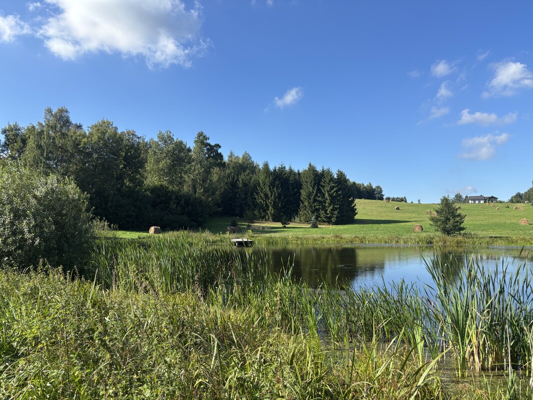Elbląg Działki budowlane koło Elbląga na sprzedaż.