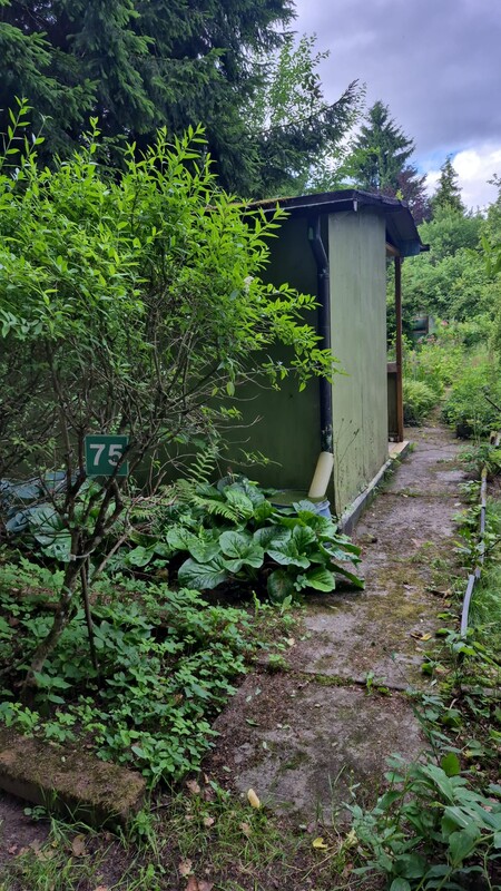 Elbląg 🌳 PILNIE SPRZEDAM! DZIAŁKA REKREACYJNA nr 75 w ROD BAŻANTARNIA – ELBLĄGCENA: 11.500 zł! | Tel.