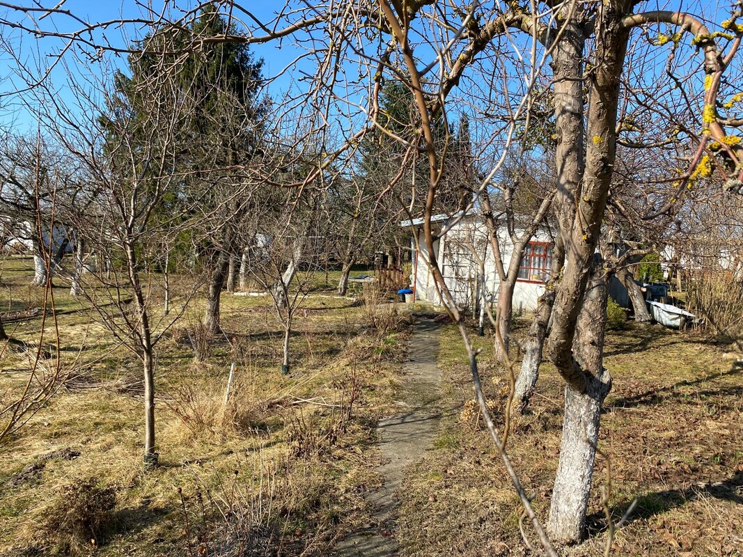 Elbląg SPRZEDAM DZIAŁKĘ ROD NA BIELANACH
JAGIELOŃCZYKA