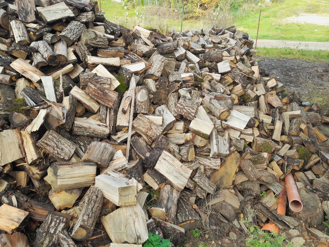 Elbląg SPRZEDAM DĄB NA OPAŁ