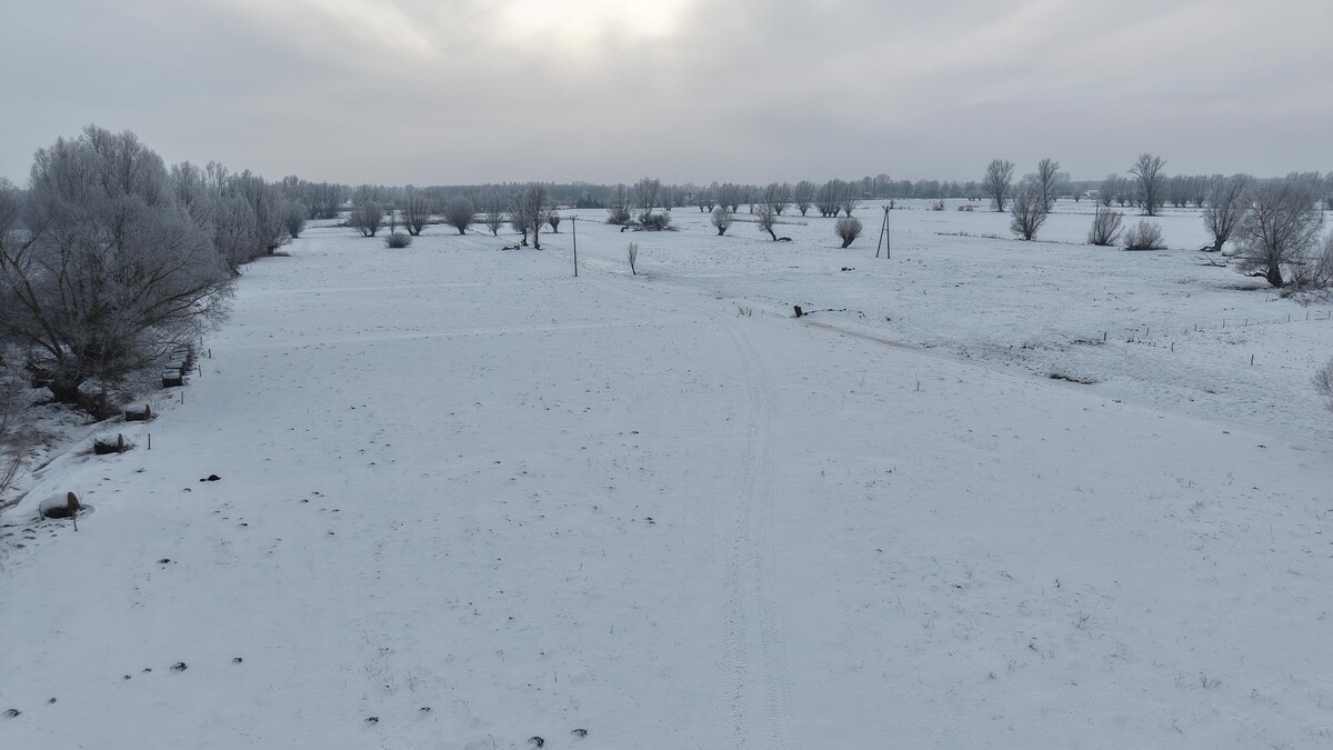 Elbląg NA SPRZEDAŻ DZIAŁKA W MIEJSCOWOŚCI MARKUSY, POWIAT ELBLĄSKI. WGN Nieruchomości oddział Elbląg poleca w