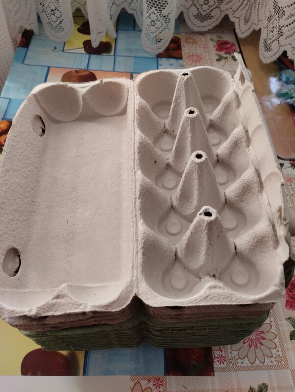 Elbląg Zamienię wytłoczki (te na 10 jajek) na jajka lub warzywa. Zaproponuj ilość na wymianę. Wytłoczki są czyste,