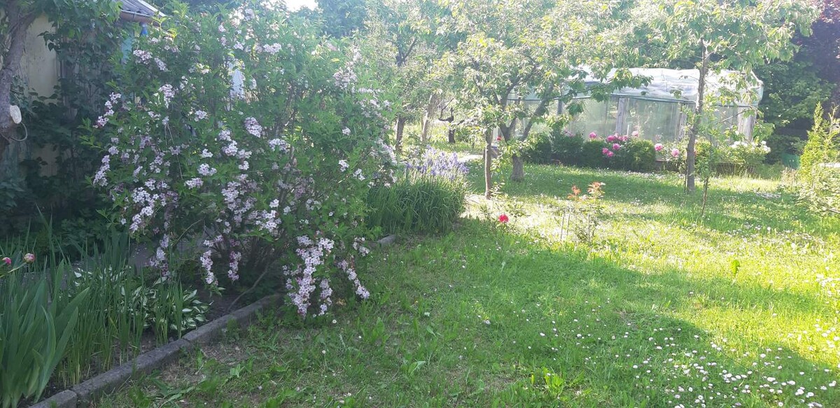 Elbląg Sprzedam ogródek działkowy ROD Słoneczne Wzgórze w Elblągu