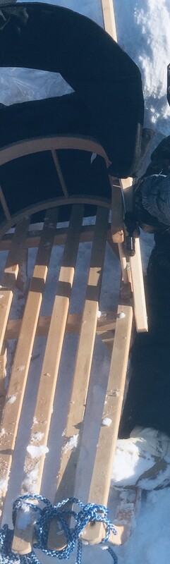 Elbląg Sanki z oparciem, rączka, zadaszeniem. Brakuje 2 śrubek po jednej stronie od zadaszenia. Można dokupić. Sanki