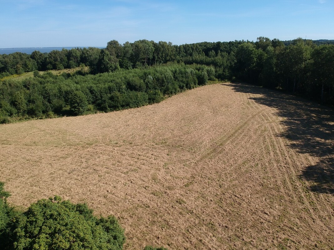 Elbląg SZULC & SZULC BIURO NIERUCHOMOŚCI NA SPRZEDAŻDziałka budowlano - usługowa - Kamionek Wielki /gmina