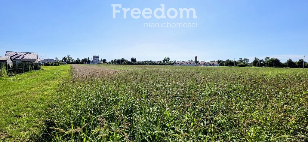 Elbląg FREEDOM NIERUCHOMOŚCISprzedam działkę - Nowy staw. Kompleks działek o powierzchni 19981m², położonych w Nowym