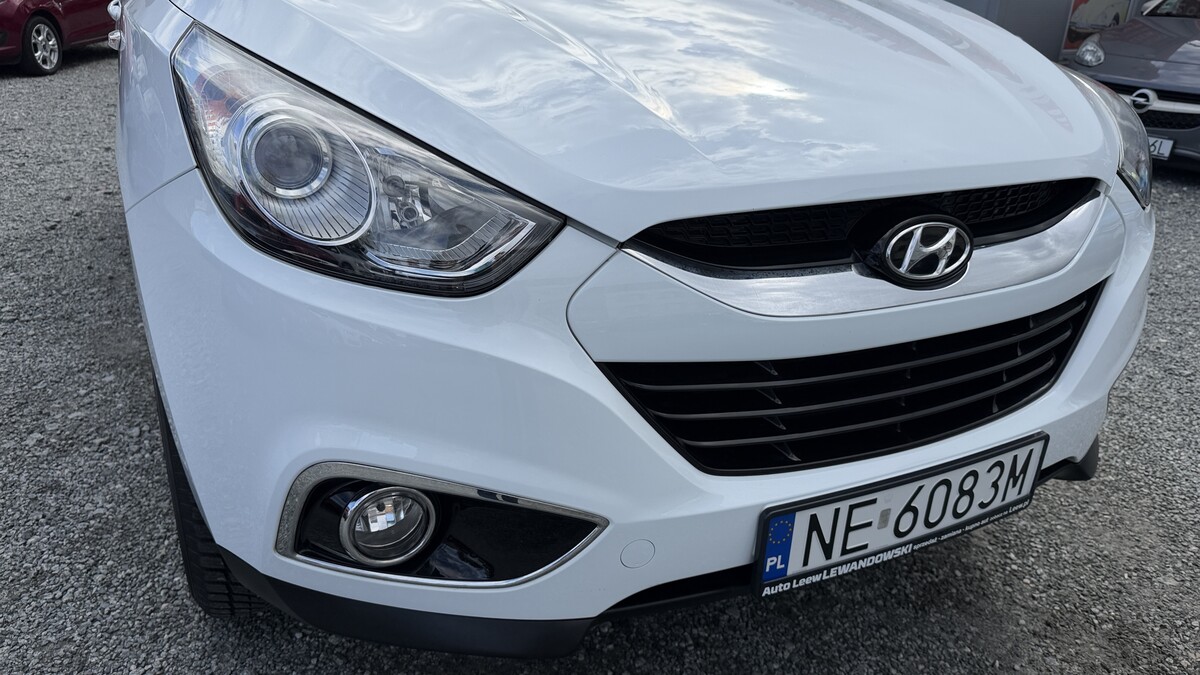 Elbląg Auto Leew LEWANDOWSKI Kupujemy i Sprzedajemy tylko dobre auta Za auta z Polskiego Salonu Płacimy Najwięcej