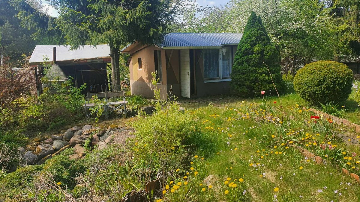 Elbląg Sprzedam ogródek działkowy 500m2 (ROD)