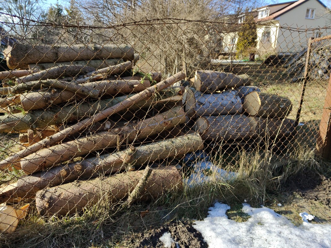 Elbląg witam,
sprzedam ok 2 i pół m3 świerka ściętego 6 miesięcy temu, pocięte na ok 1,2 m, grubsze na 0,6 m