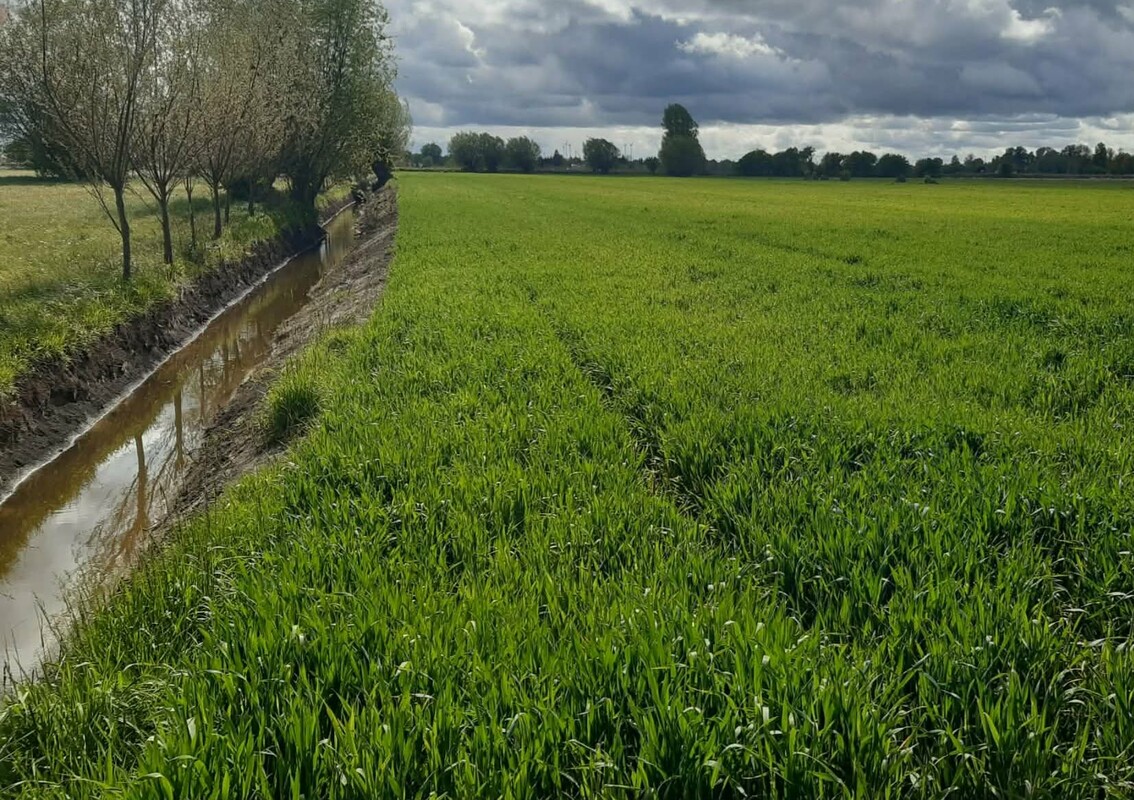 Elbląg Dzialka rolna lV kat. 1,8 h