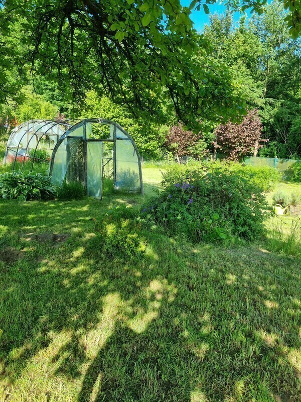 Elbląg 🌳 Działka ROD Bielany Wzgórze 🌞