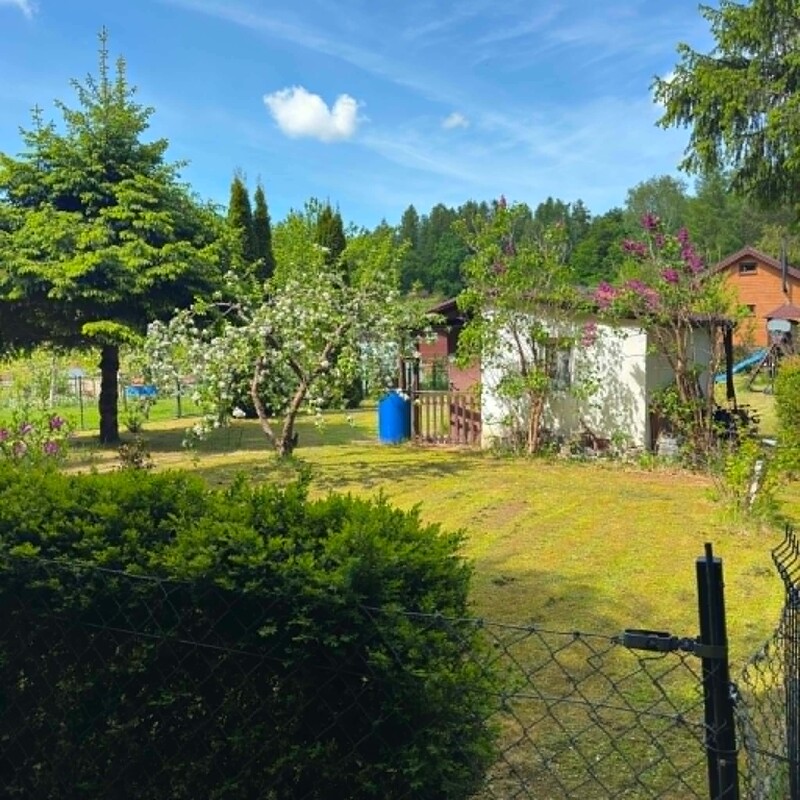 Elbląg 🌳 Sprzedam działkę ROD w Bażantarni 🌳Idealne miejsce na wypoczynek i relaks!