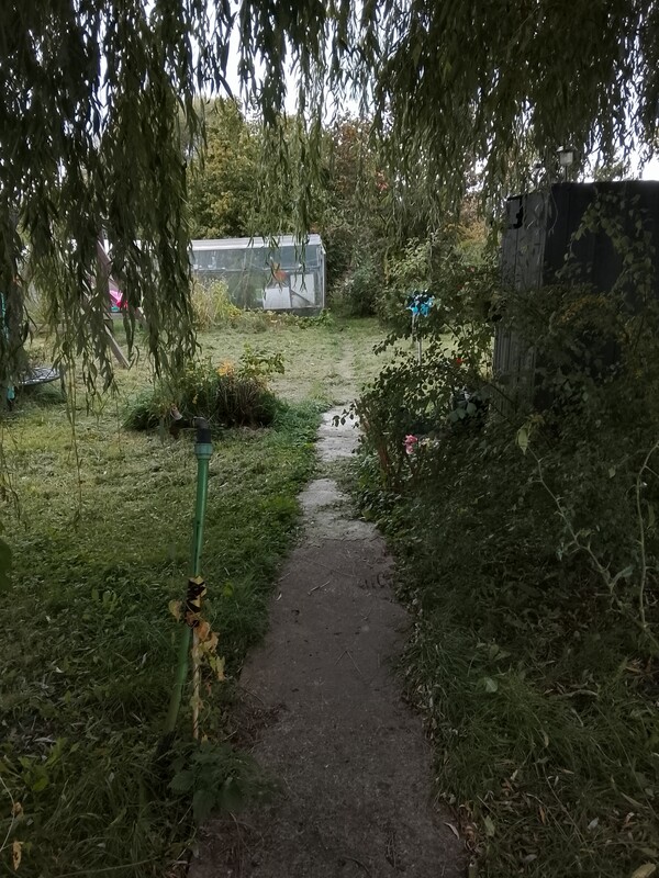 Elbląg Sprzedam działkę o powierzchni 380m ROD Przyroda ul Malborska na działce jest woda prąd altanka z dobudówką