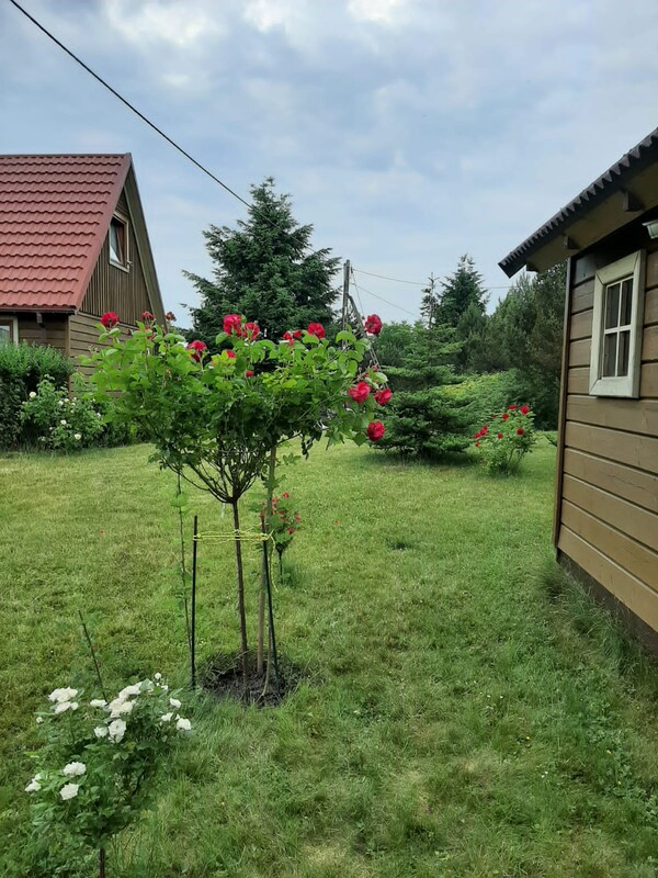 Elbląg Na sprzedaż jednorodzinny dom wolnostojący i atrakcyjna, zagospodarowana działka o powierzchni 2000 m²,