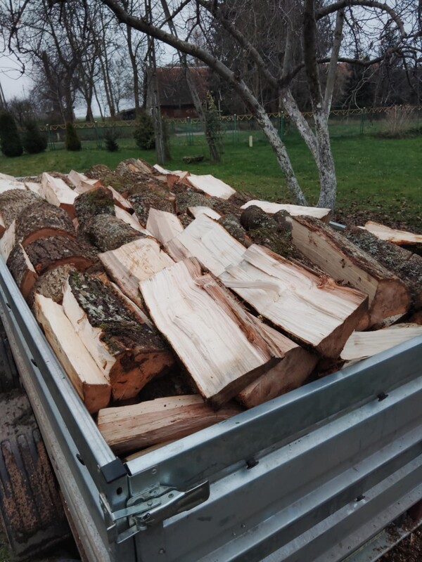 Elbląg Sprzedam drewno opałowe mieszane liściaste (buk, dąb, grab, brzoza, olcha, jesion, jawor)Zarówno metry, jak i