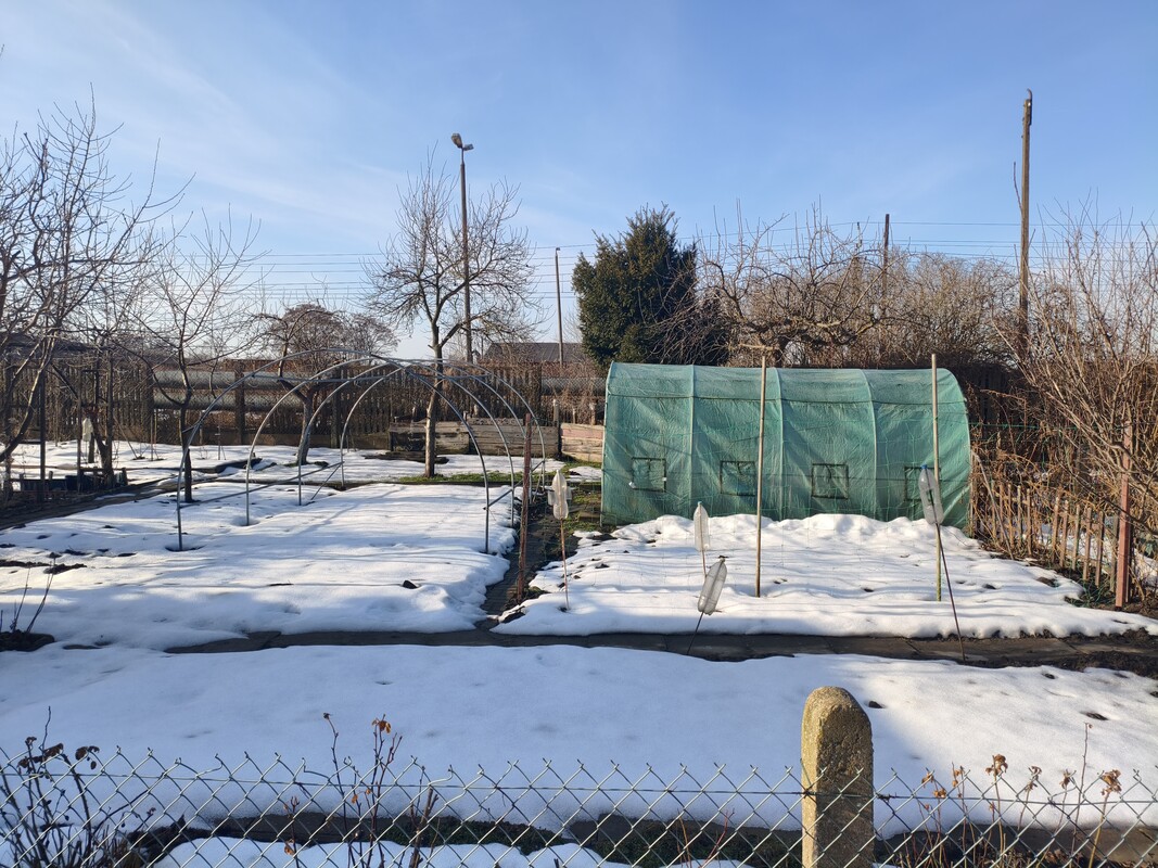 Elbląg 🌿 Twój zielony azyl w mieście! Wyjątkowa działka ROD przy ul. Druskiej na sprzedaż! 🏡