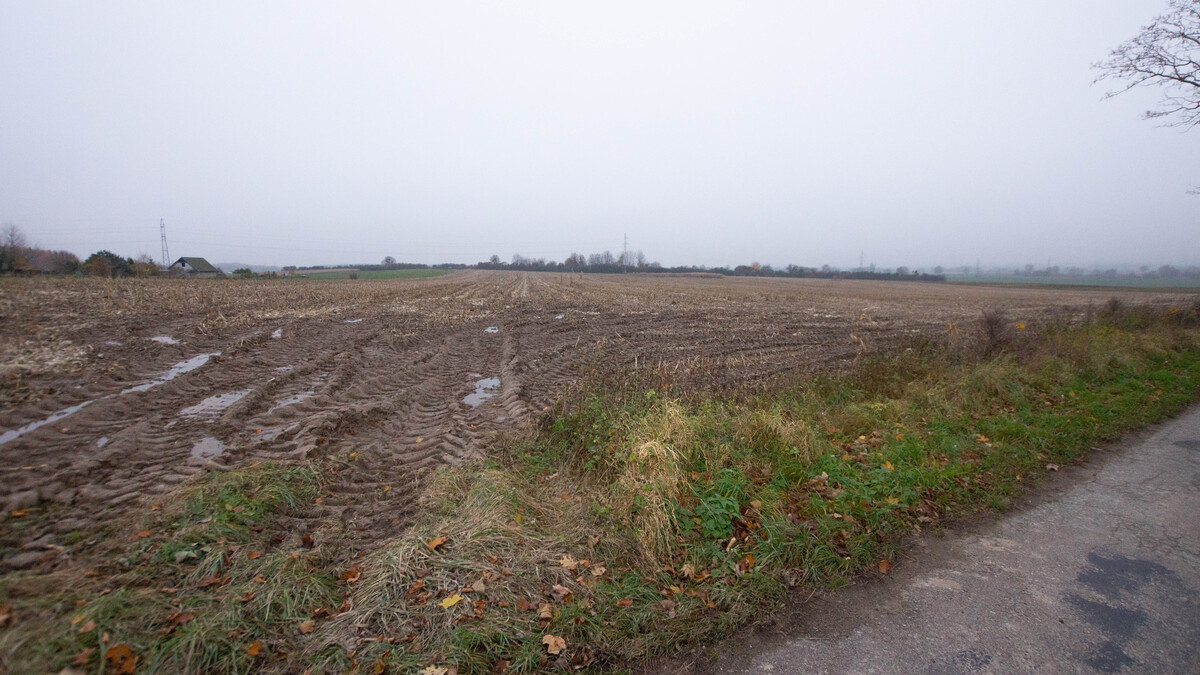 Elbląg * * * ABC NIERUCHOMOŚCI * * * POLECAMY!! DZIAŁKI W MARIANCE KOŁO PASŁĘKAo powierzchni od 1510 m2