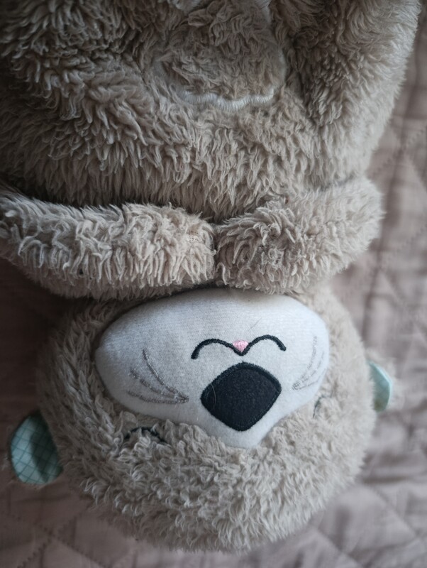 Elbląg Sprzedam szumisia wydrę Fisherprice. Stan bardzo dobry jedynie do odświeżenia. Regulacja głośności, różne