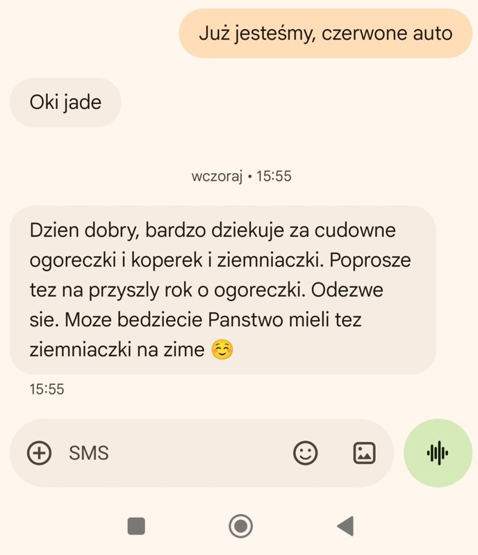 Elbląg Ogórki uprawiane na emach bez nawozów i oprysków
