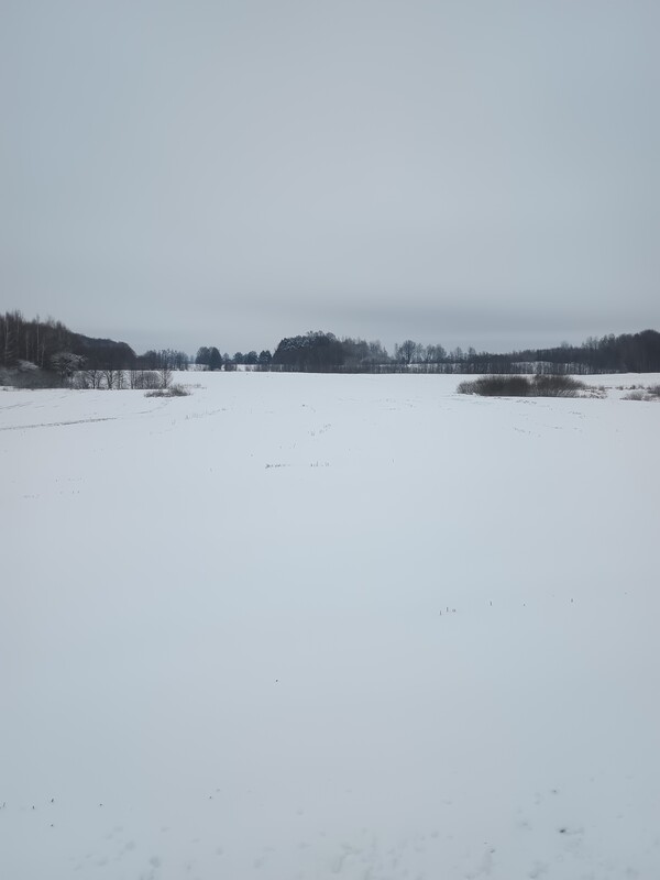 Elbląg Sprzedam 20 hektarów gruntów rolnych położonych we wsi Ząbrowiec gmina Godkowo powiat elbląski. Większość