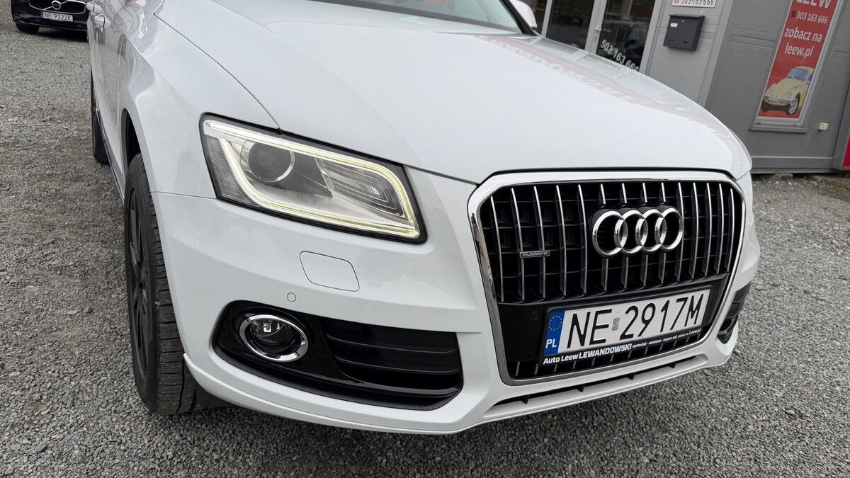 Elbląg Auto Leew LEWANDOWSKI Kupujemy i Sprzedajemy tylko dobre auta Za auta z Polskiego Salonu Płacimy Najwięcej AUDI