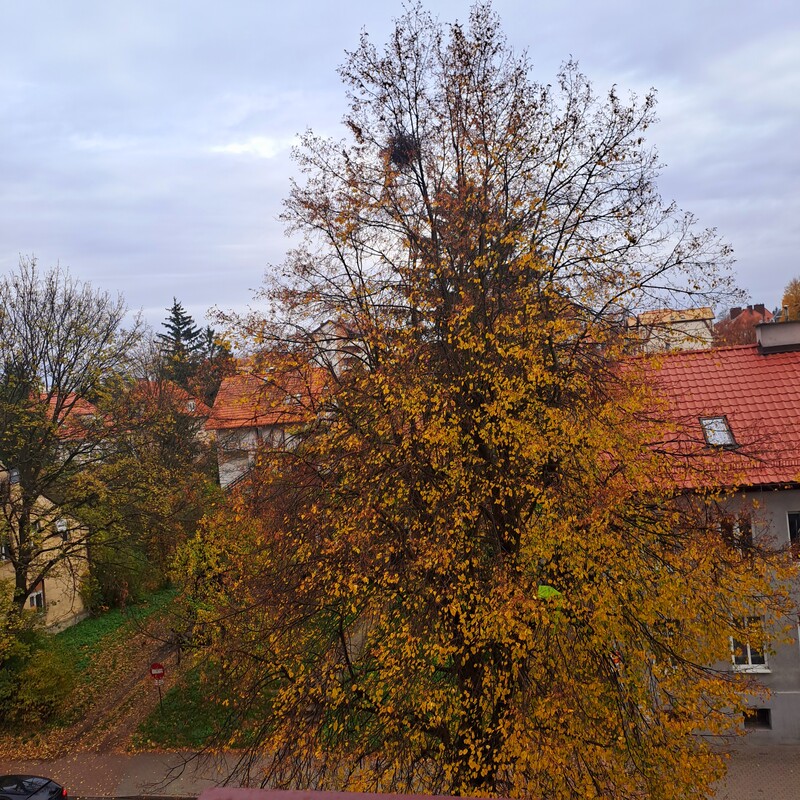 Elbląg Wynajmę mieszkanie w Elblągu ul Kościuszki/ wieżowiec/ 42 m dwa pokoje / salon oddzielna kuchnia sypialnia/ w