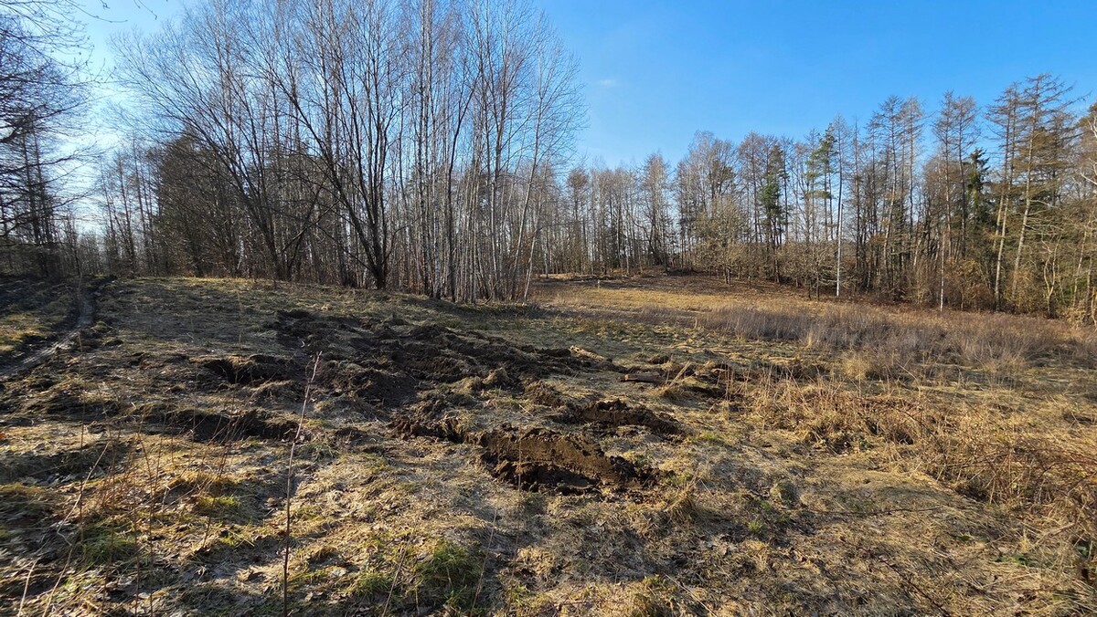 Elbląg SZULC & SZULC BIURO NIERUCHOMOŚCI NA SPRZEDAŻDziałka budowlana - Elbląg ul. JaworowaPowierzchnia: 5075 m2