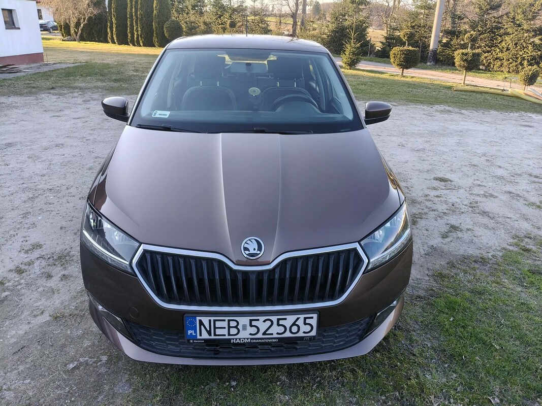 Elbląg SKODA FABIA AMBITION 1.0 TSI Pierwszy właściciel. Polski salon.