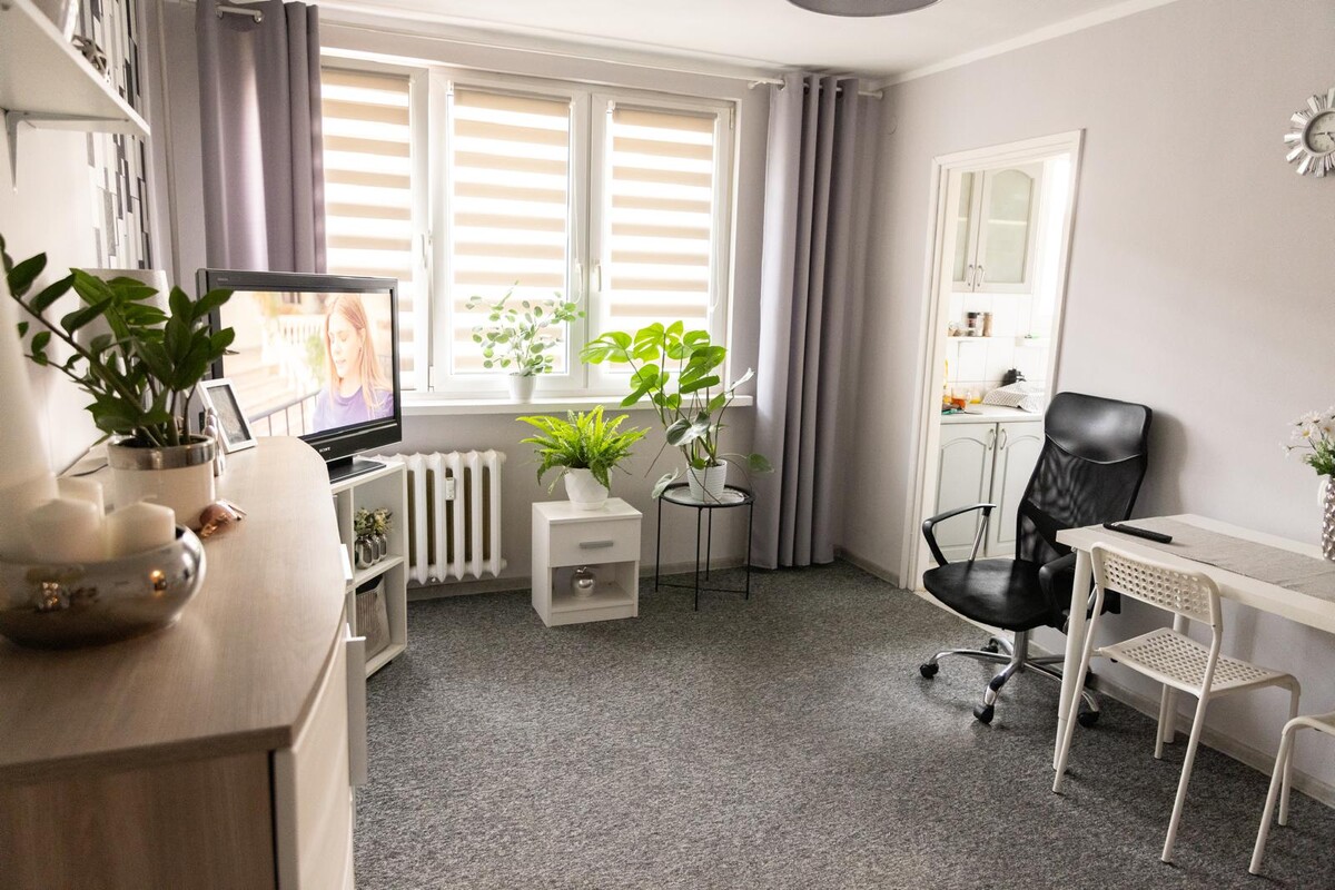 Elbląg Sprzedam mieszkanie 2 pokojowe, pow. 36m2,piętro 1