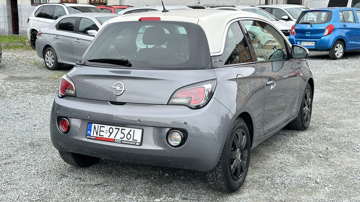 Elbląg Auto Leew LEWANDOWSKI Kupujemy i Sprzedajemy tylko dobre auta Za auta z Polskiego Salonu Płacimy Najwięcej OPEL