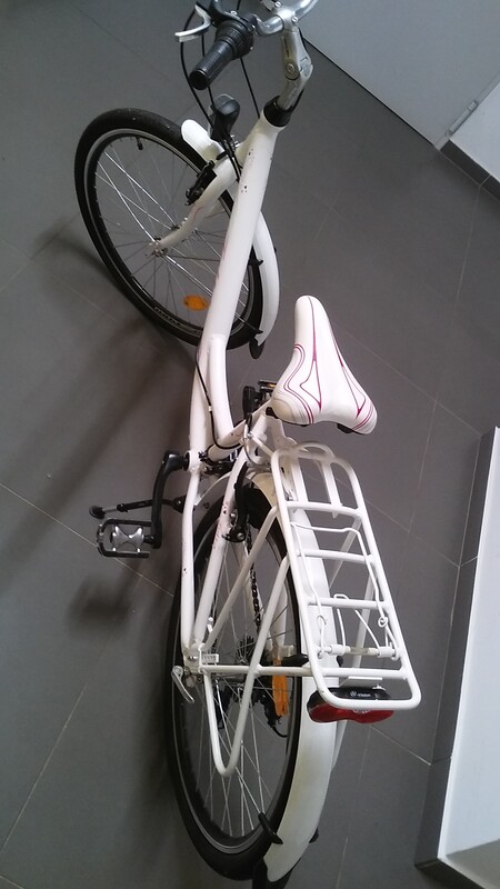 Elbląg Sprzedam rower FOLTA OLIANA 24 Przerzutki Shimano Turney. Karta gwarancyjna z paragonem zakupu.