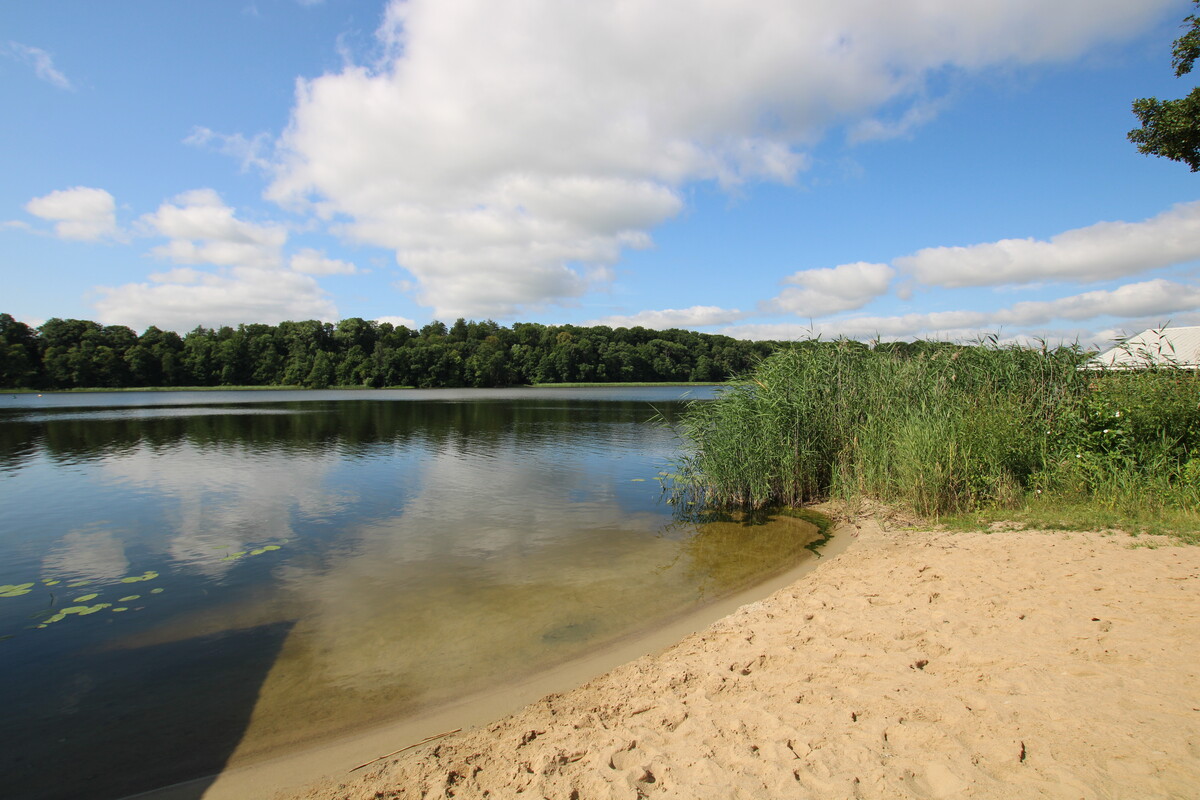 Elbląg NIERUCHOMOŚCI ANNA KRASZEWSKANA SPRZEDAŻ domek rekreacyjny nad jeziorem, na działce własnościowejWilamowo,