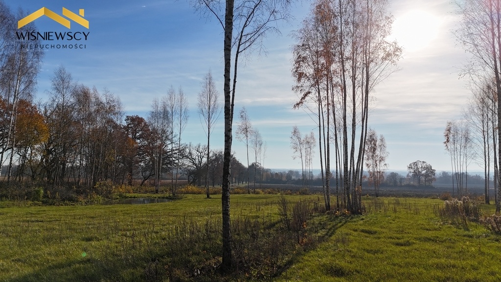 Elbląg WIŚNIEWSCY NIERUCHOMOŚCI Sp. z o.o.Sprzedam działkę - Dawidy. Oferta sprzedaży działki rolnej z wydaną