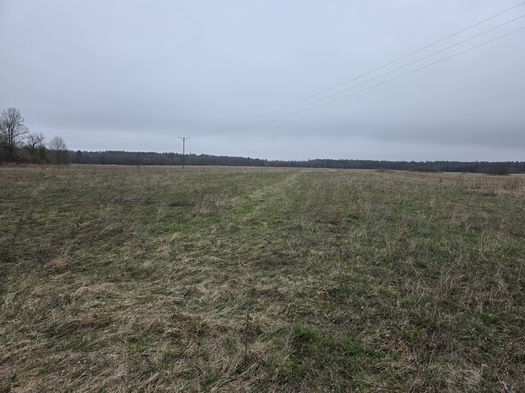 Elbląg MEGA-CONSULT NIERUCHOMOŚCI - WYCENA, SPRZEDAŻ, KUPNO, WYNAJEMOFERUJEGRUNTY ROLNE POŁOŻONE NAD RZEKĄ PASŁĘKĄ