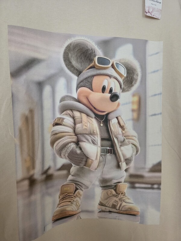 Elbląg Sprzedam tshirt bezowy z nadrukiem. bawelna z wloch okazala sie za ciasna. material grubszy. bedzie dobra do xl