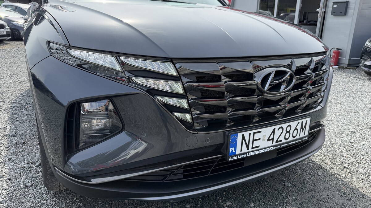 Elbląg Auto Leew LEWANDOWSKI Kupujemy i Sprzedajemy tylko dobre auta Za auta z Polskiego Salonu Płacimy Najwięcej