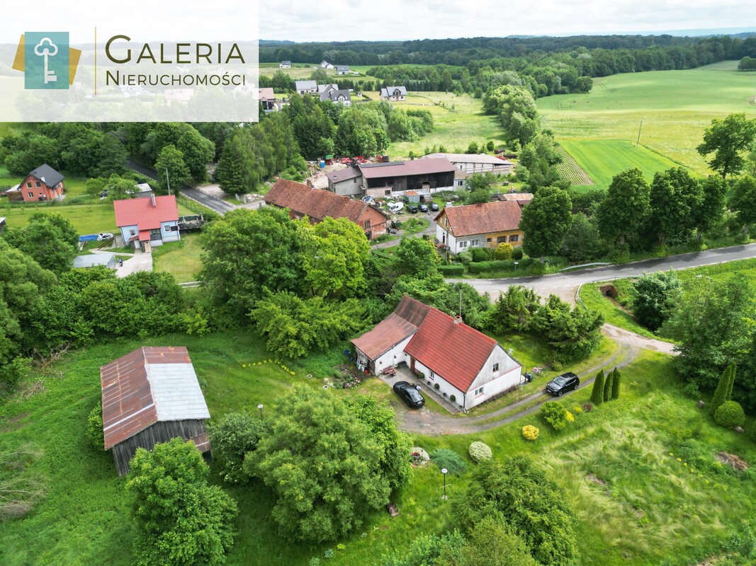 Elbląg GALERIA NIERUCHOMOŚCIZ pasji i miłości do nieruchomościNa sprzedaż: Dom w otoczeniu natury blisko Elbląga!