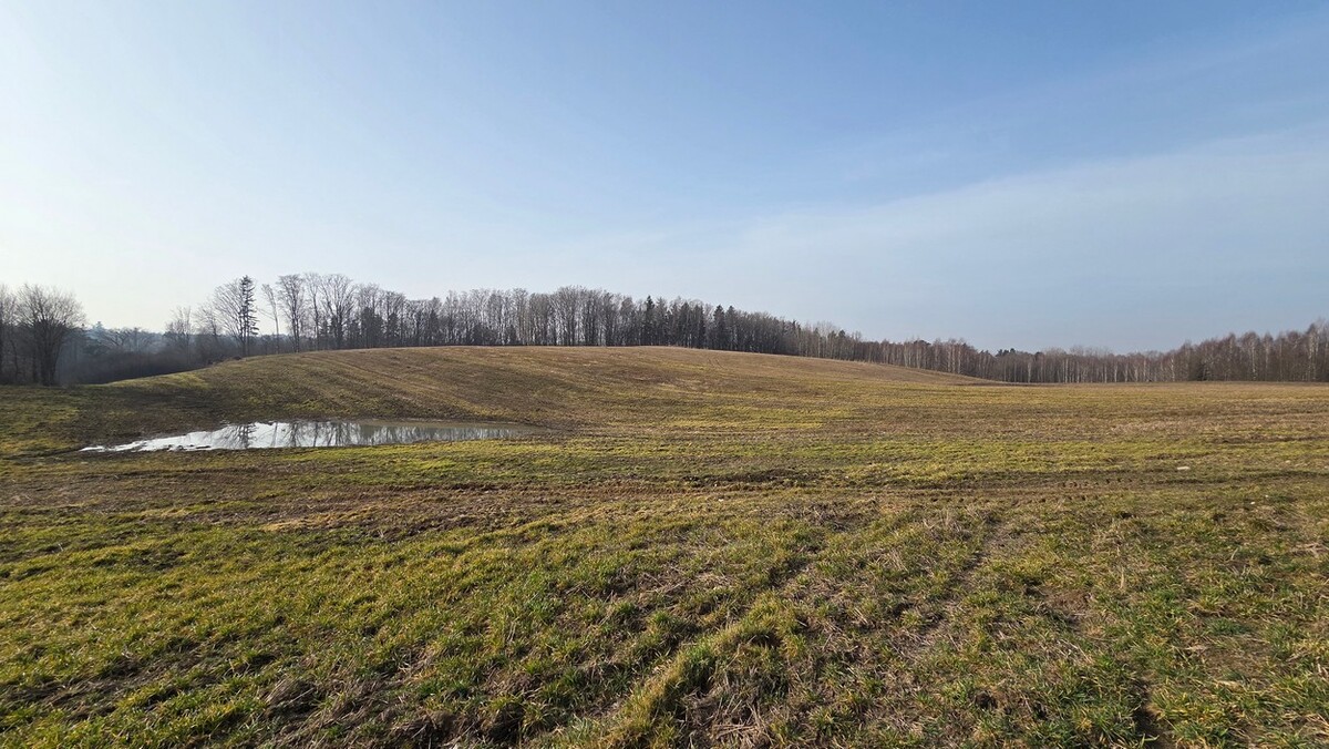 Elbląg SZULC & SZULC BIURO NIERUCHOMOŚCI NA SPRZEDAŻDziałka budowlana - Stare Monasterzysko /gmina