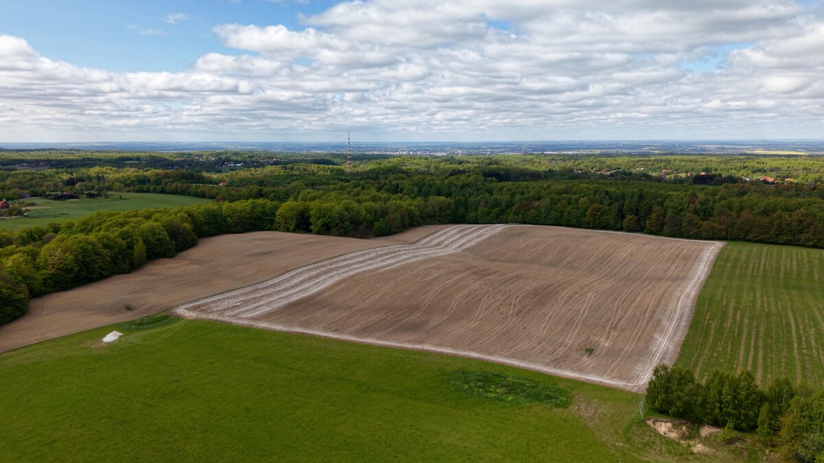 Elbląg WGN Nieruchomości oddział Elbląg prezentuje piękny dom w miejscowości PIASTOWO, 7km od Elbląga, gotowy do