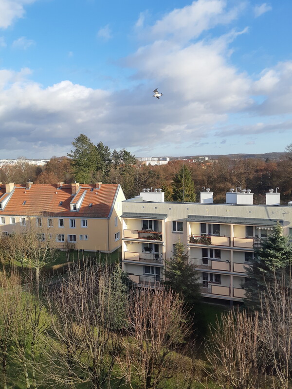 Elbląg 🌳 Sprzedam mieszkanie 2 pokoje Park Kajki 🌇PIĘKNY WIDOK 45m2 po generalnym