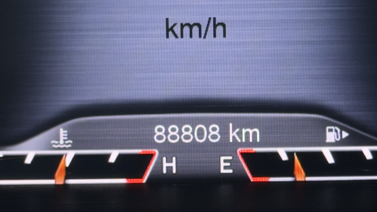 Elbląg &nbsp; &nbsp; &nbsp; &nbsp; &nbsp; &nbsp; &nbsp; &nbsp; &nbsp; &nbsp; Auto&nbsp;Leew&nbsp;LEWANDOWSKI&nbsp;