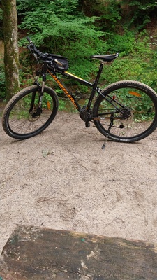 Elbląg Wheeler koła 29