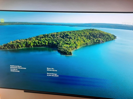 Elbląg Sprzedam TV Philips z ambilight 65 cali. TV w pełni sprawny, jedynie w dołu ekranu (na środku) widoczne na