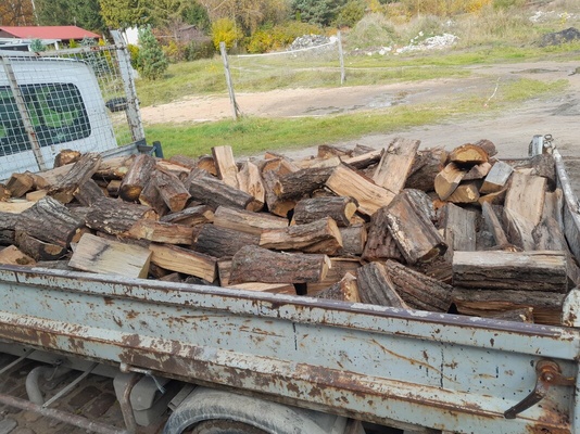 Elbląg SPRZEDAM DĄB NA OPAŁ  