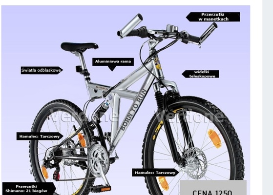 Elbląg Sprzedam rower duży aluminiowy srebny dobrej jakości przerzutki lekki polecam osoby tylko zdecydowanie